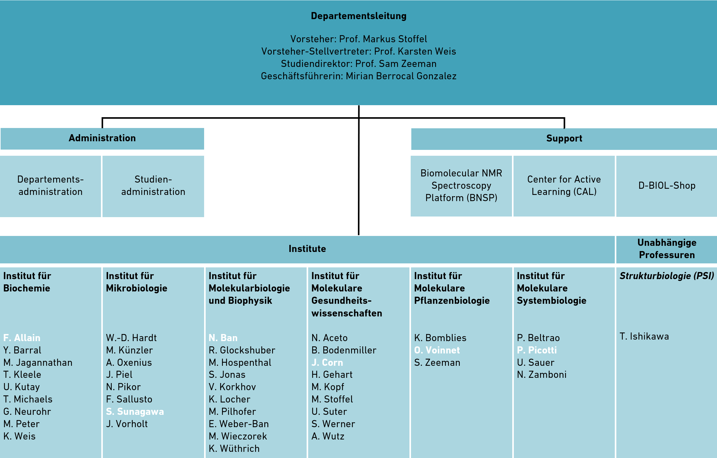 Vergrösserte Ansicht: Organigramm D-BIOL