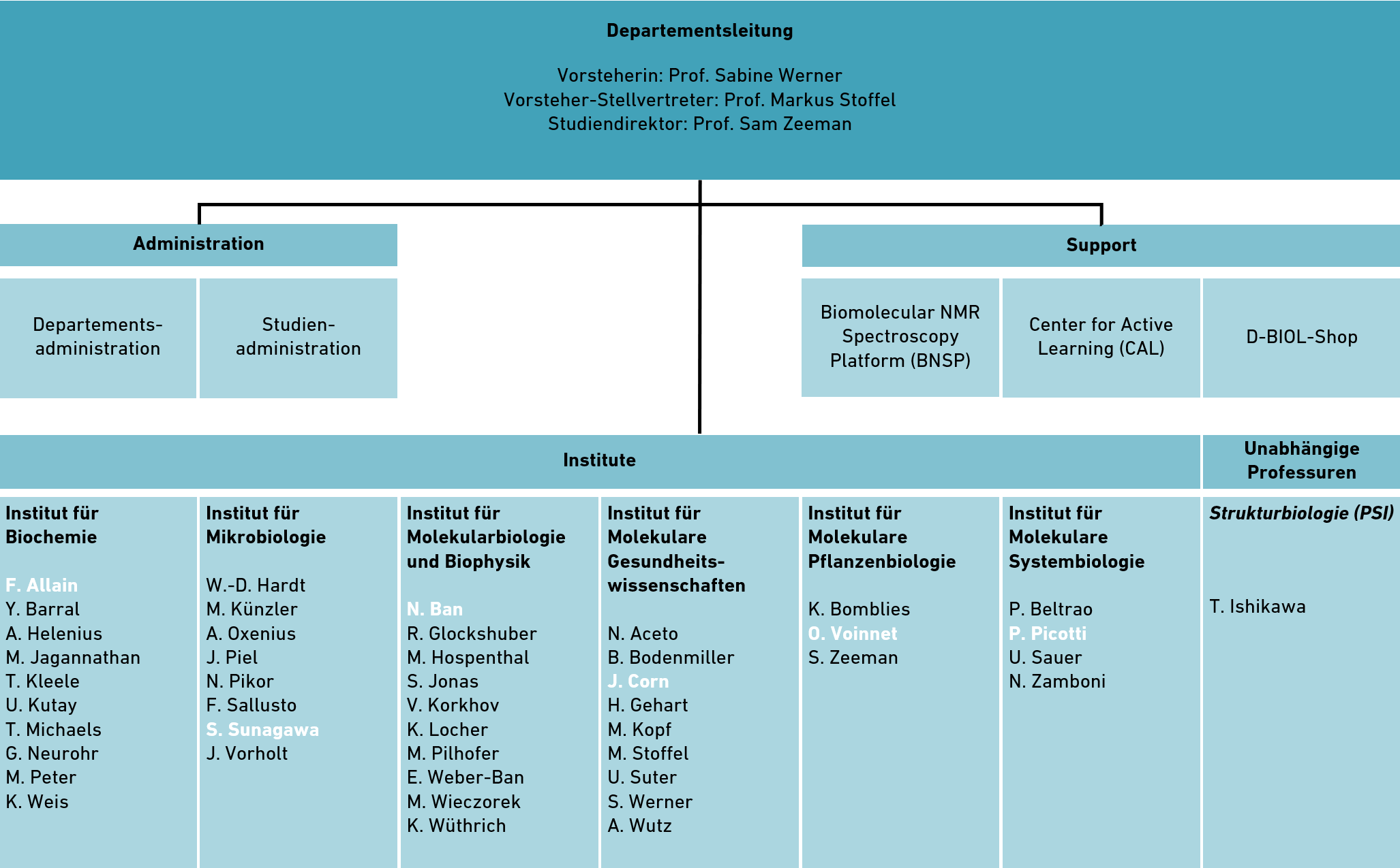 Vergrösserte Ansicht: Organigramm D-BIOL