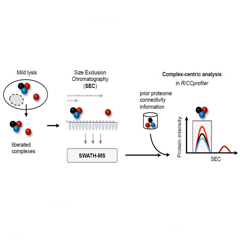 Enlarged view: Graphical abstract Ludau paper