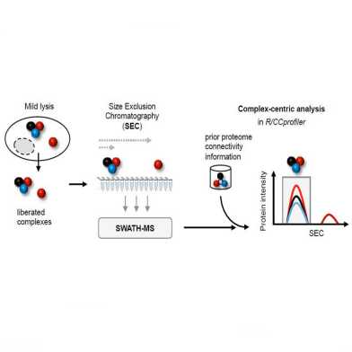 Graphical abstract Ludau paper