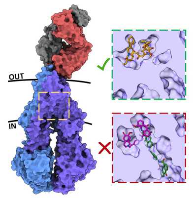 Locher paper PNAS