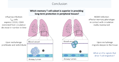 Graphical abstract Welten paper