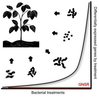 Figure Vorholt paper