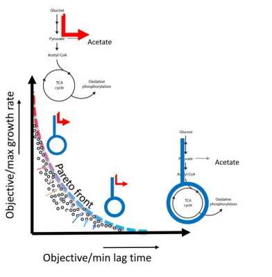 Graphical abstract Zampieri paper