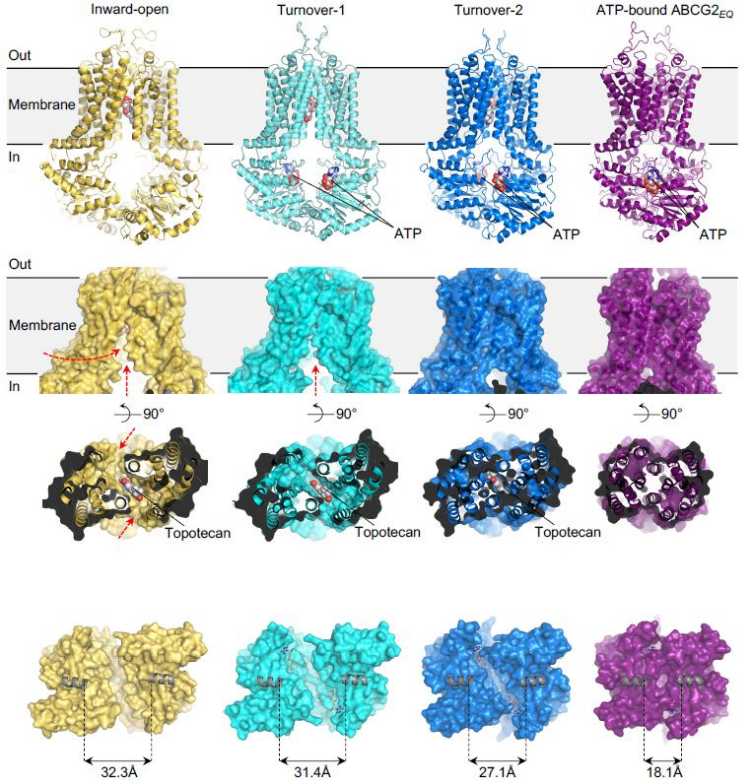 Graph Locher paper