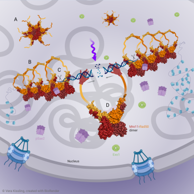 Kissling paper Nature Communications May 2022