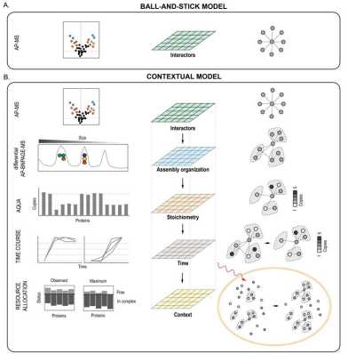 Graphical abstract Aebersold paper October 2022