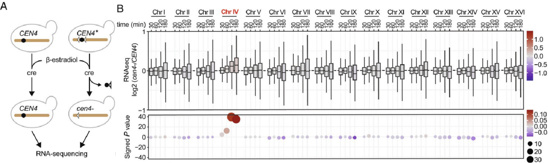 Figure Barral paper PNAS February 2023