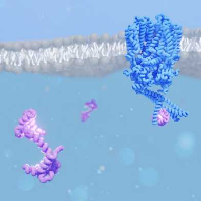 Figure PNAS paper April 2023