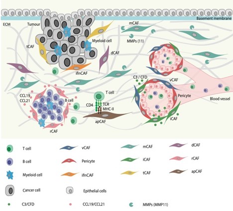 Graphical abstract Bodenmiller paper August 2023 Nature Communications