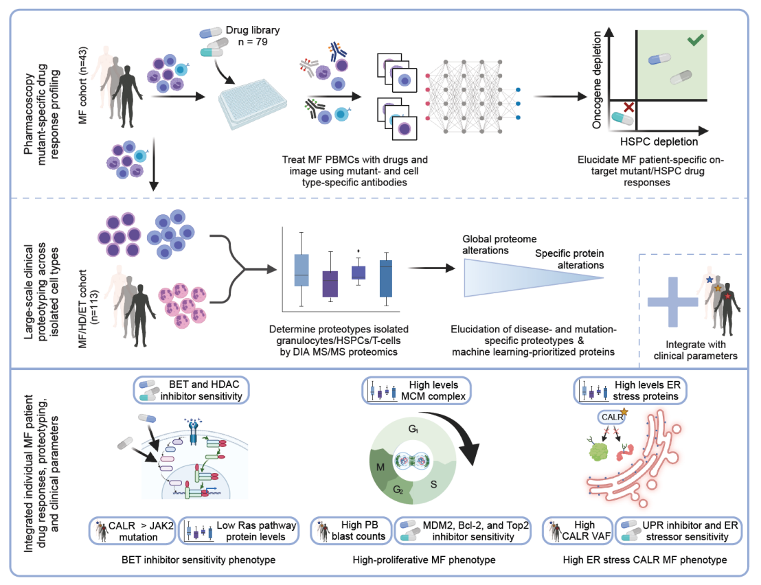 Graphical abstract Snijder paper October 2023