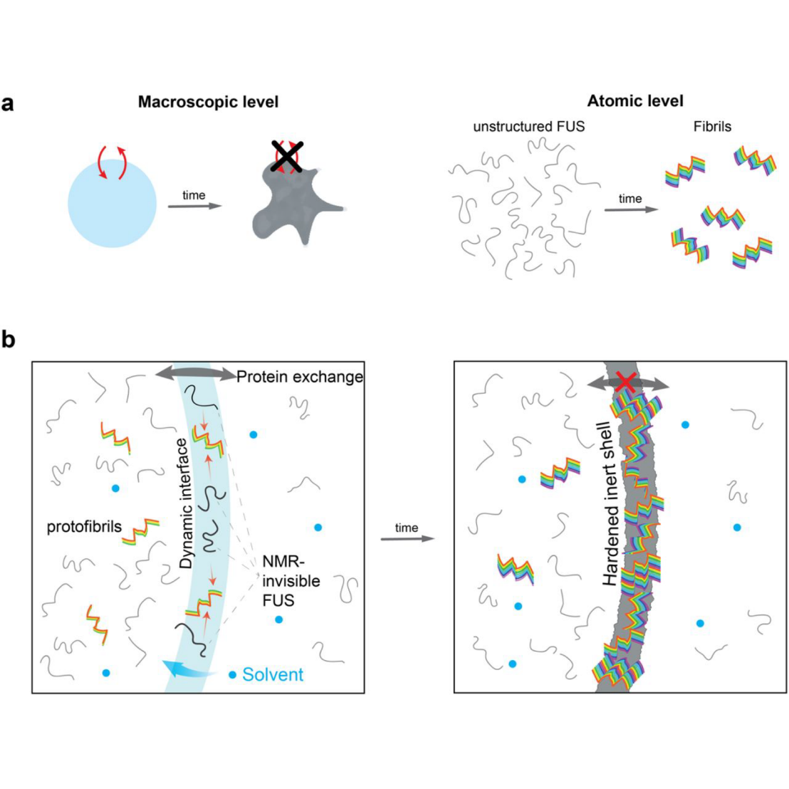 Allain paper Nature Chemical Biology March 2024