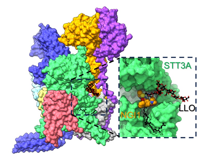 Locher paper Cell April 2024