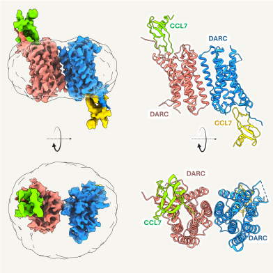 Illustration Korkhov paper July 2024