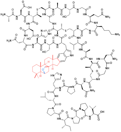 Illustration Piel paper October 2024