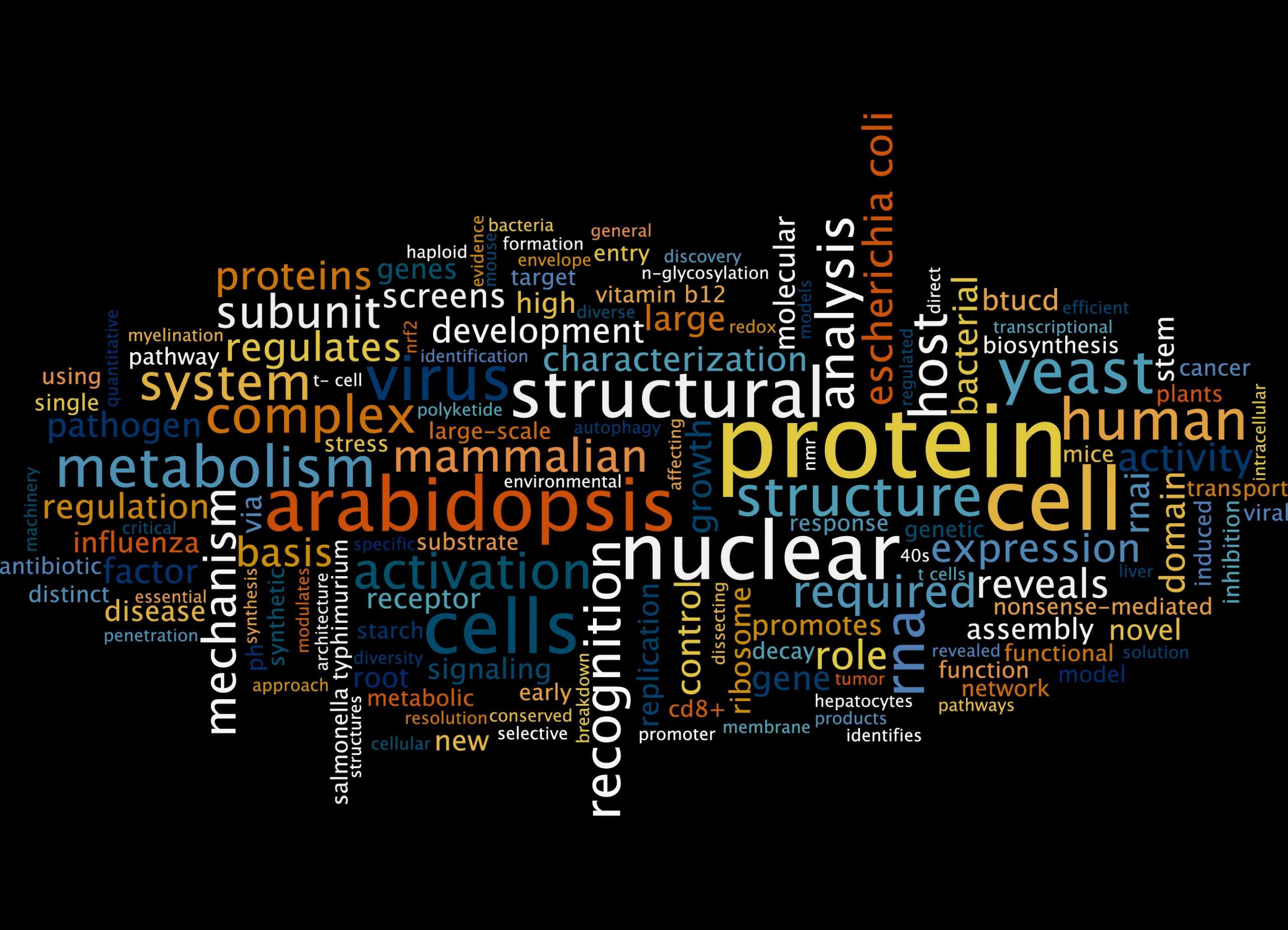 Enlarged view: D-BIOL Research Output Visualization