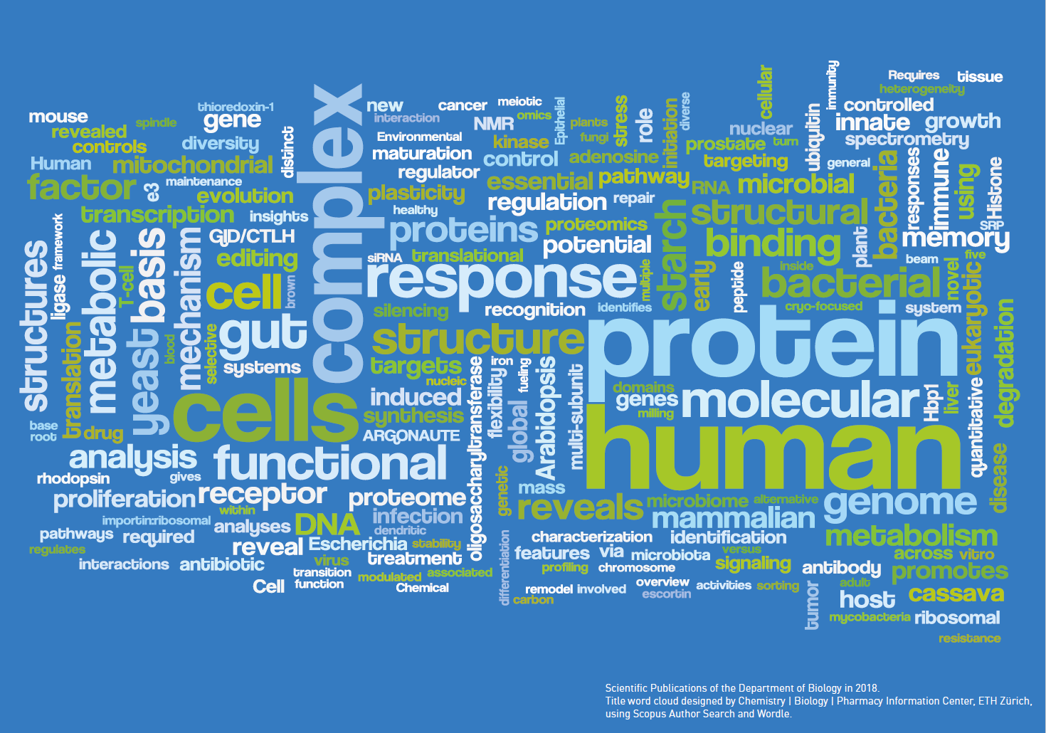 Enlarged view: Wortwolken D-BIOL-Forschung 2018