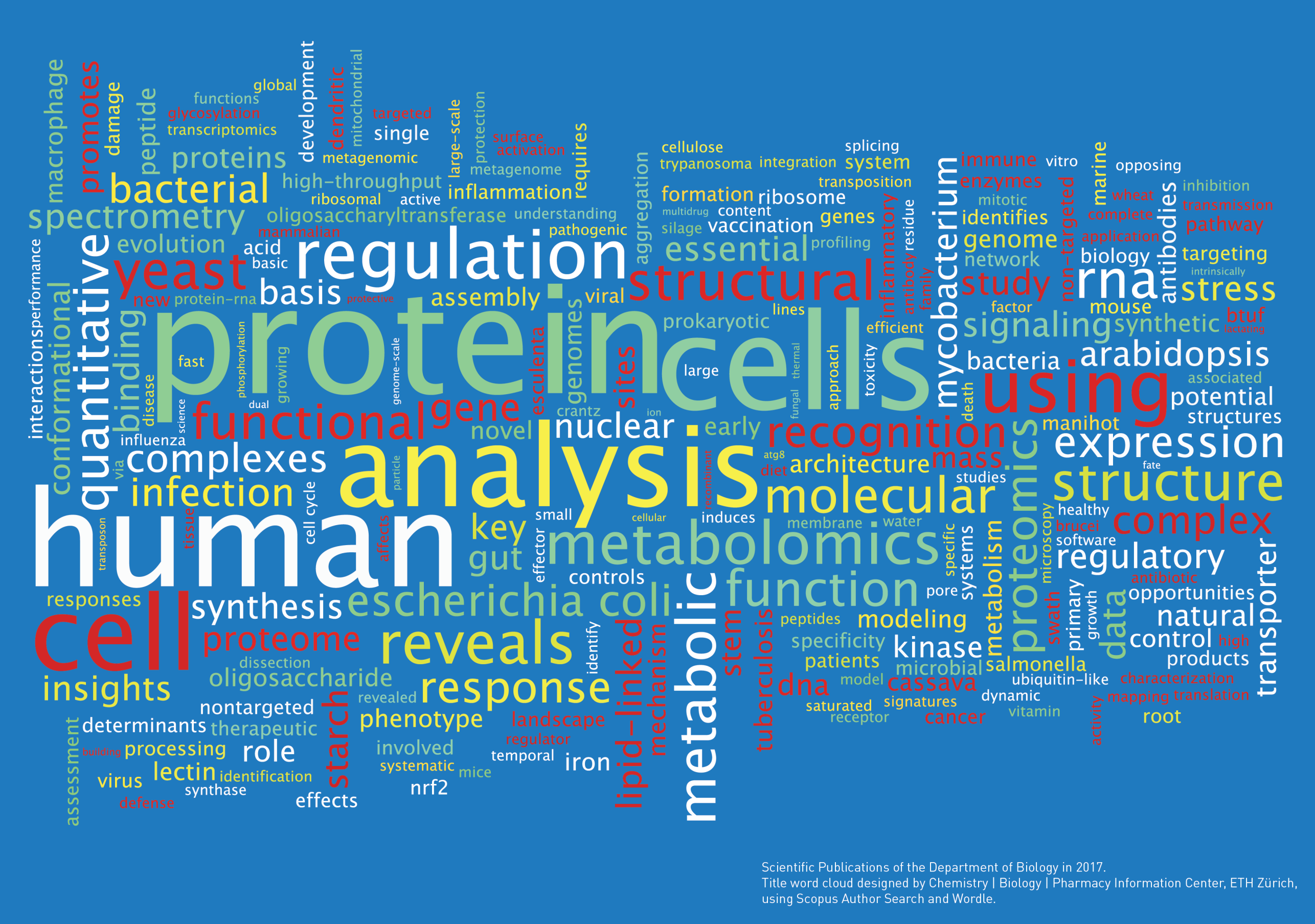 Enlarged view: Wordcloud DBIOL 2017