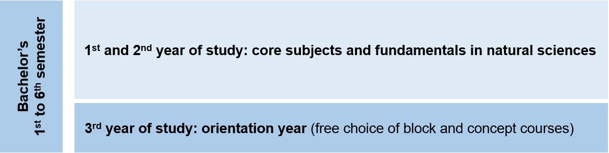 Setup of the BSc study programme in biology