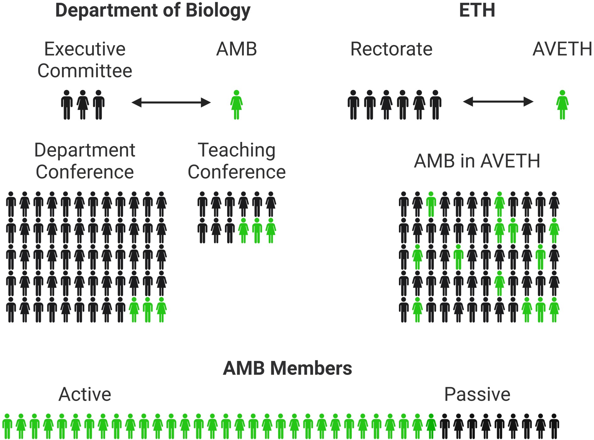 Organization of the AMB