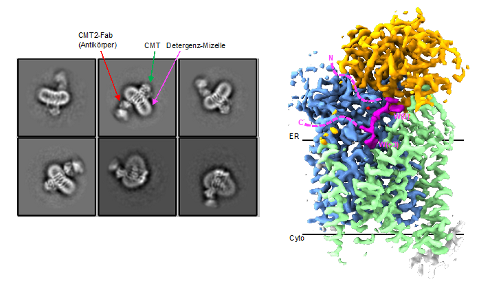 Figure 2 Locher paper January 2023