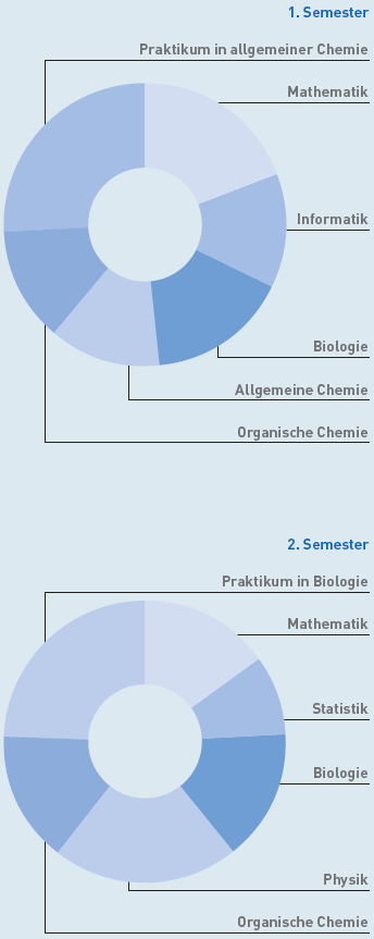 1. Bachelor-Jahr